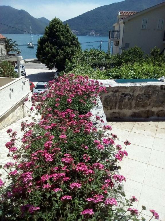 Apartmani Villa Radovic ริซาน ภายนอก รูปภาพ