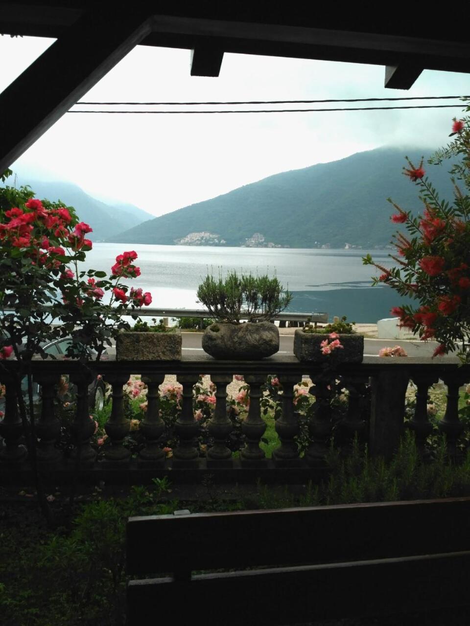 Apartmani Villa Radovic ริซาน ภายนอก รูปภาพ